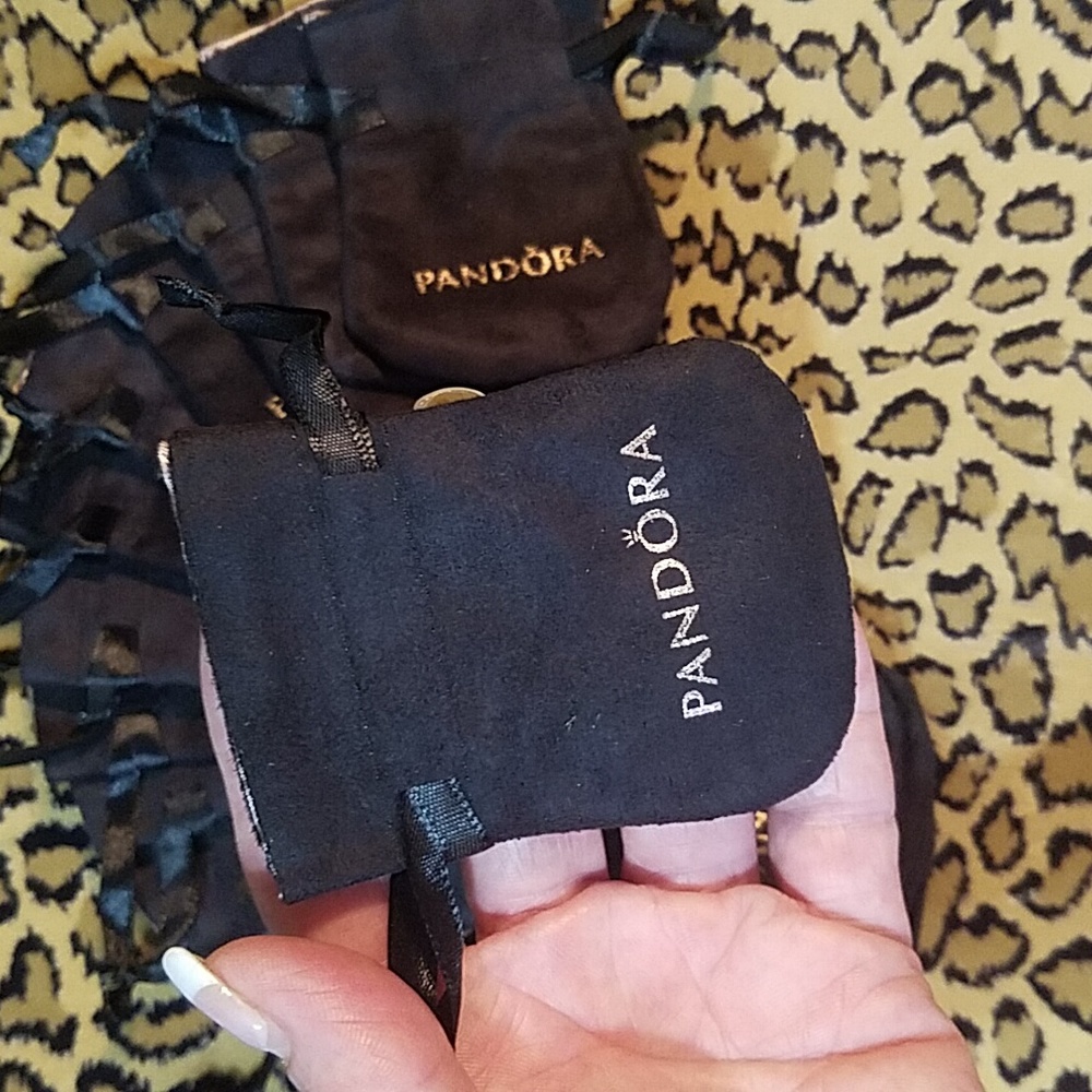 CUSTOM BUNDLE Pandora 25Pouches-NEW!!! - Picture 3 of 3